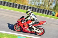 Lower Group Red Bikes